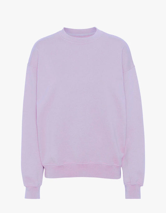 Colorful Standard Oversized Crew